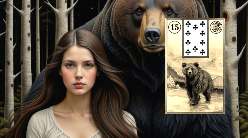 Daily Card Bear