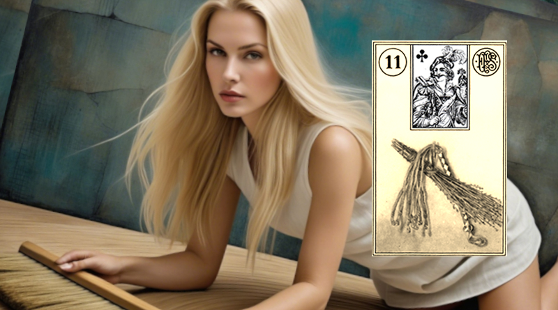 Daily Card Whip